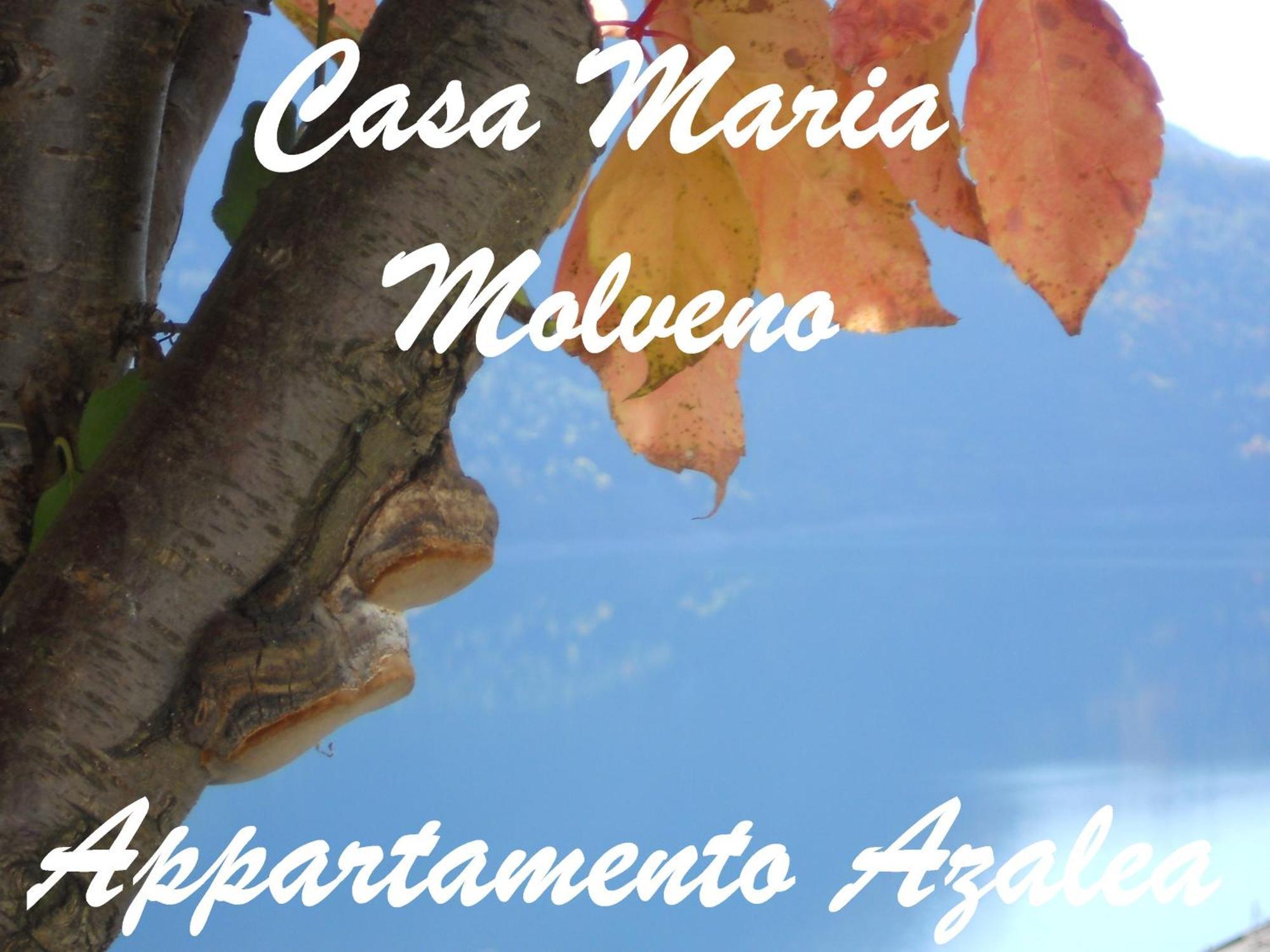 Casa Maria Apartment Molveno Room photo